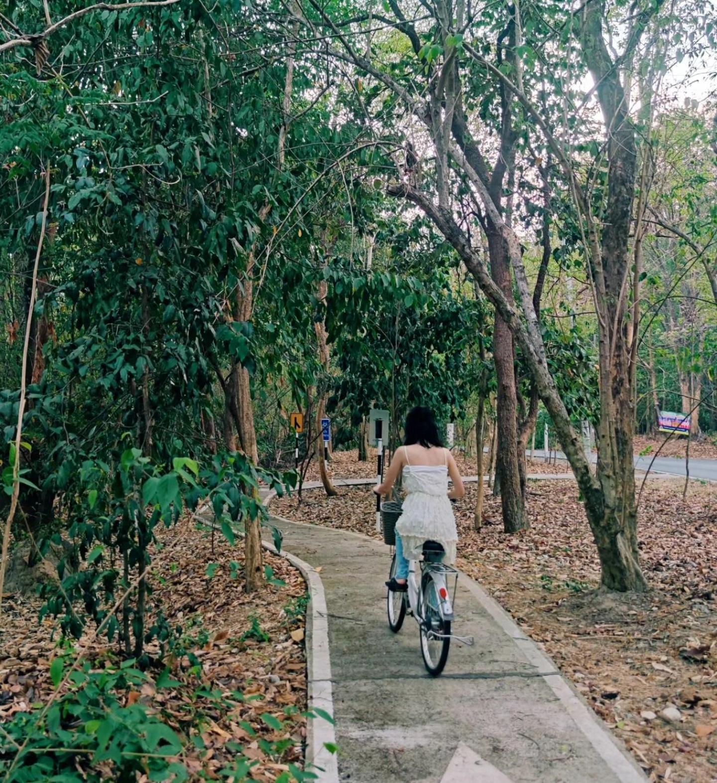 ฟอเรสตา วิลลา Bed & Breakfast หางดง ภายนอก รูปภาพ