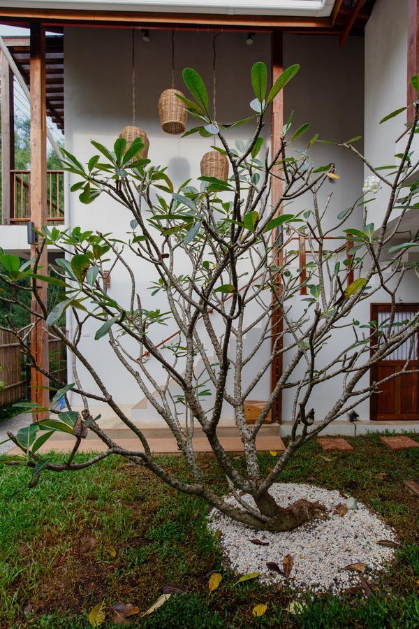 ฟอเรสตา วิลลา Bed & Breakfast หางดง ภายนอก รูปภาพ