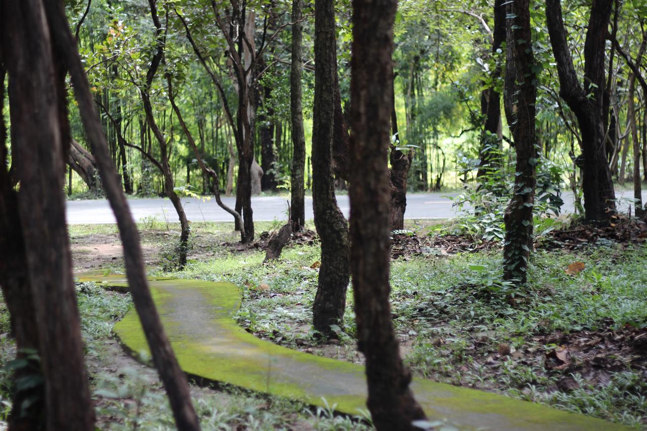 ฟอเรสตา วิลลา Bed & Breakfast หางดง ภายนอก รูปภาพ